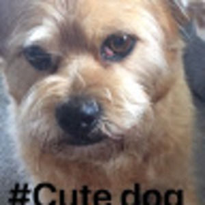 Meet your Posher, The mac